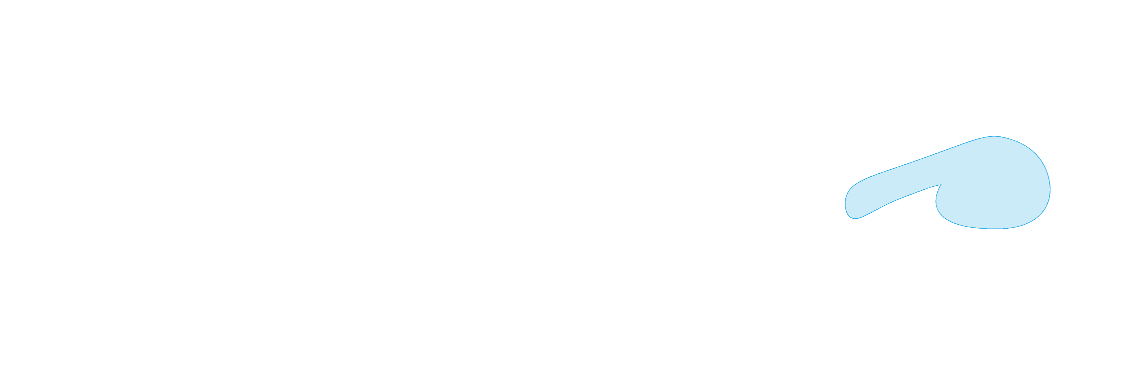 Map Overlay Monaco 20